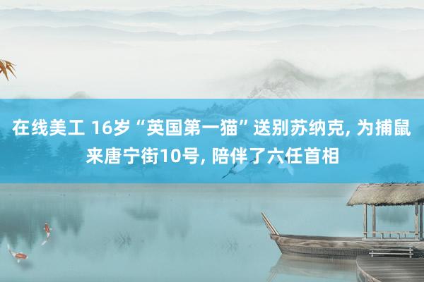 在线美工 16岁“英国第一猫”送别苏纳克, 为捕鼠来唐宁街10号, 陪伴了六任首相